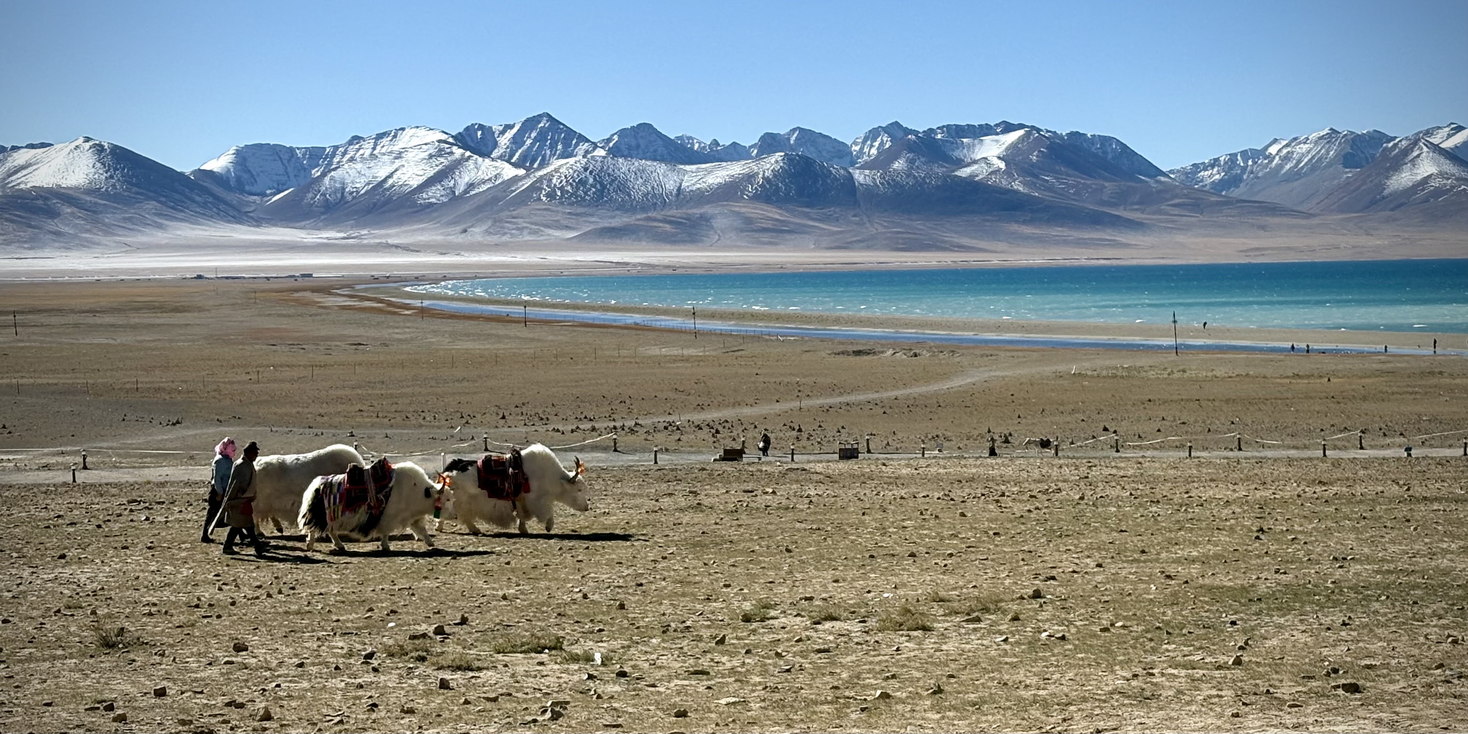 Data fuckups, data learnings